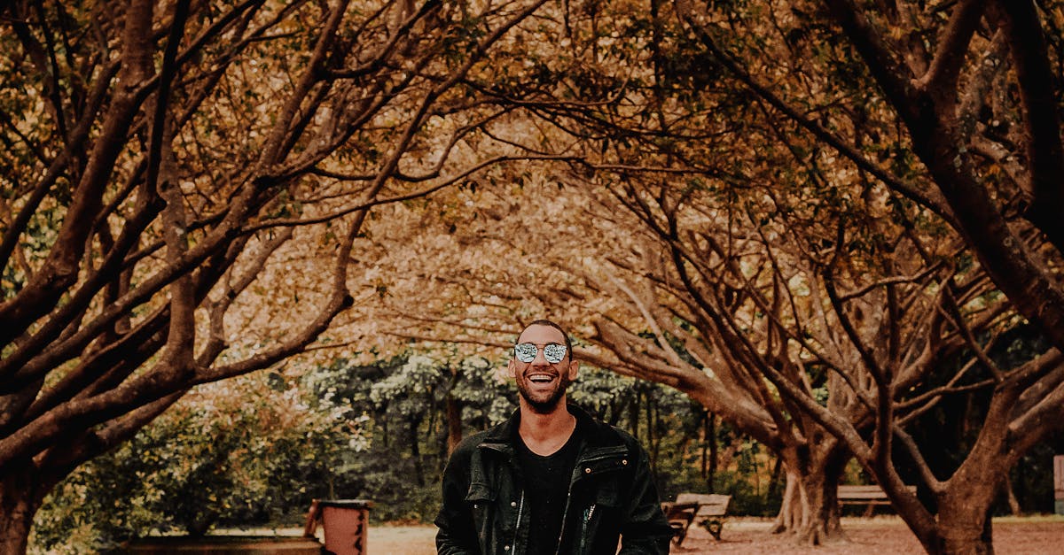 What are the 7 areas of wellness?